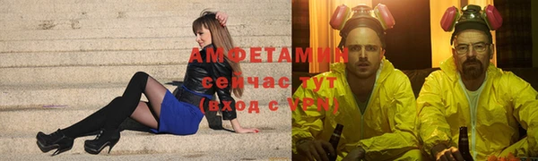 прущие грибы Аркадак