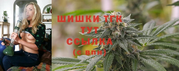 тгк Армянск